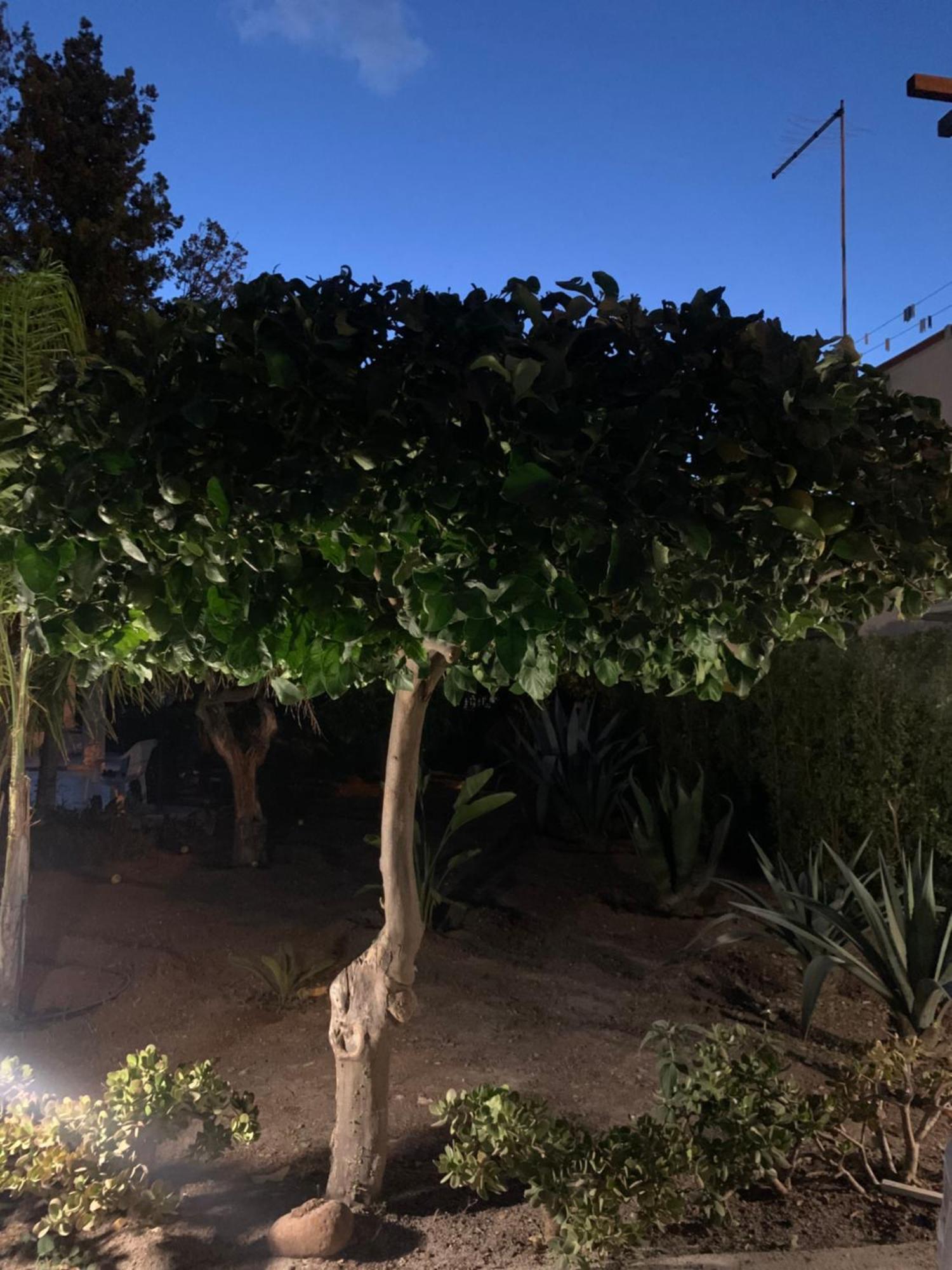 Casa Vacanze Astori Trabia Exterior foto