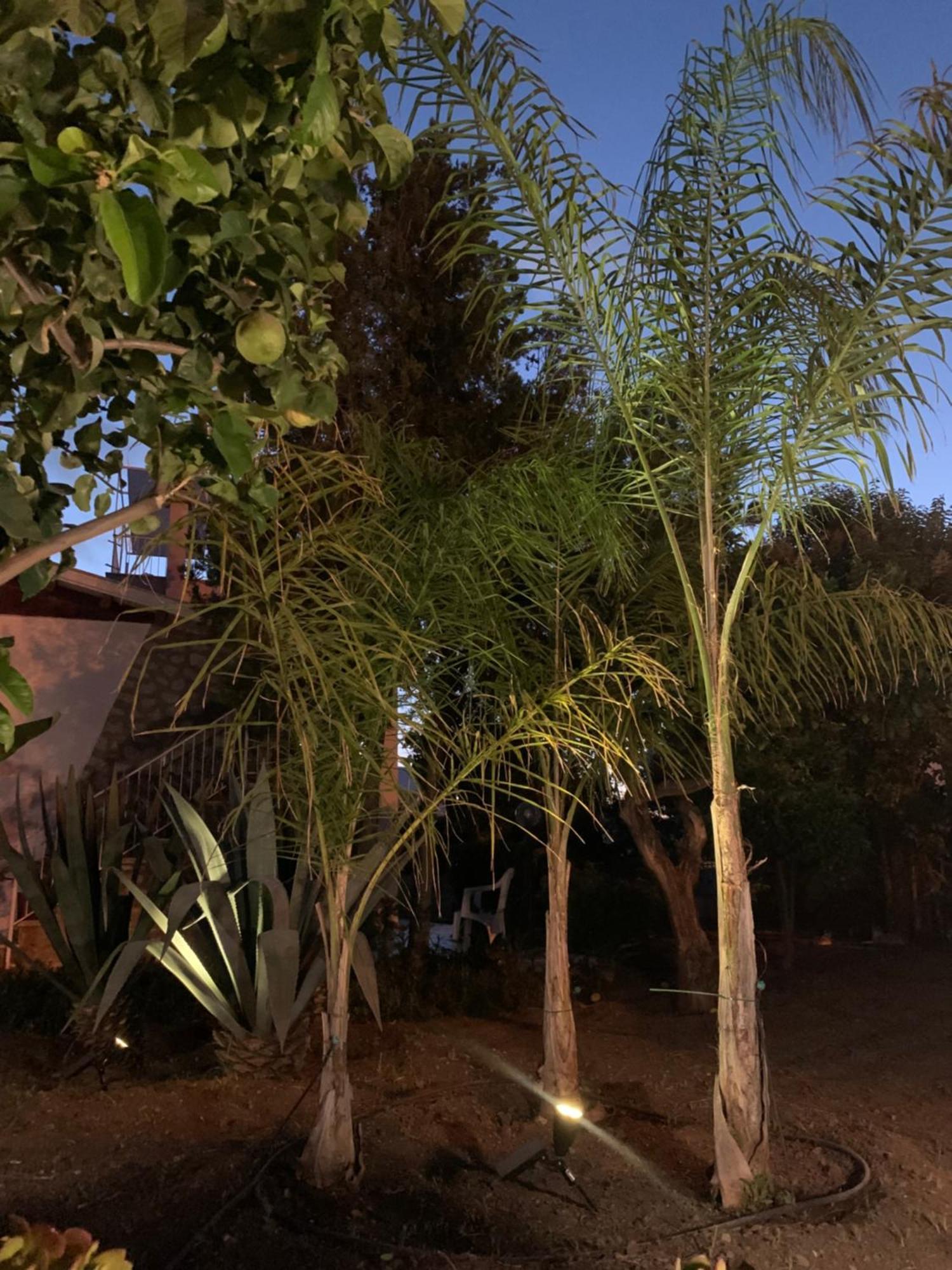 Casa Vacanze Astori Trabia Exterior foto